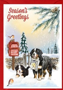 Bernese Mountain Dog A6 (4"x6") Christmas Card - Blank inside - by Starprint