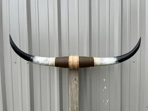 MOUNTED STEER HORNS 3 Feet 4 Inch WIDE LONGHORN POLISHED MOUNT BULL COW - Picture 1 of 3