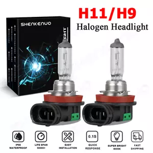Pair H11 Halogen Headlight High/Low Beam Bulbs 65W 3200K White Basic Replacement - Picture 1 of 9