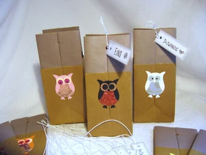 Adventskalender 24 "goldene" Tüten + bunte Eulen zum selbst befüllen Handarbeit - Bild 1 von 3