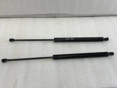 1998 1999 2000 2001 2002 2003 TOYOTA SIENNA TRUNK LIFTGATE STRUTS SHOCKS - Image 1 of 4
