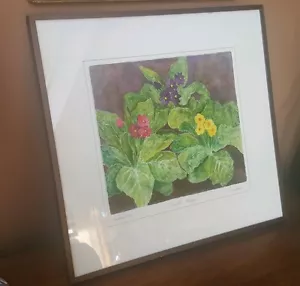 ORIG American School M. Hostetler Flower Botanical Watercolor "Primrose Trio" - Bild 1 von 6