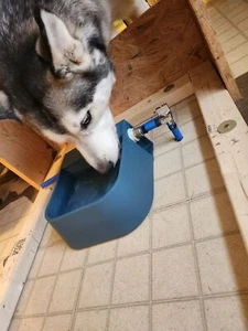 Automatic Dog Water Bowl w/ Float Valve & 59" Hose | 2L Pet Water Dispenser - Picture 1 of 14