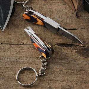Edelstahl Mini Klappmesser Klinge Schlüsselanhänger hängend Outdoor EDC Auspacken - Bild 1 von 12