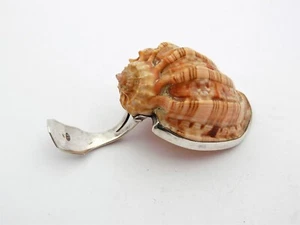 Raro CUCCHIAIO CADDY GEORGIANO ARGENTO con ciotola GUSCIO A CONCHIGLIA, 1805 Matthew Linwoood - Foto 1 di 6
