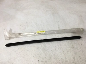 GM NOS 1994 1995 1996 Chevy Impala Caprice Rear Side Door Sealing Strip 16669902 - Bild 1 von 7