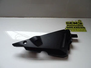 Kawasaki Ninja EX650 2020 Right Fairing Cover Infill - Picture 1 of 5
