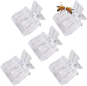 Juego de 5 jaulas de plástico transparente Bee Queen ¡NUEVO! - Imagen 1 de 2