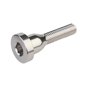 Burgtec Top Cap Bolt - Rhodium Silver - Picture 1 of 1