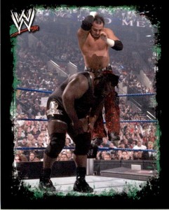 Topps WWE Rivals 2009 - Matt Hardy No. 138