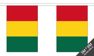 Guinea Bunting - 9 Metres 30 Flag Banner Decoration - Picture 1 of 1