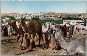 Foto real vintage de Marruecos RPPC postal camellos escena de mercado zoco - coloreada a mano - Imagen 1 de 2