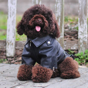 warm coat Pet Dog Clothes Punk Puppy Vest Windproof Leather Jacket Fall