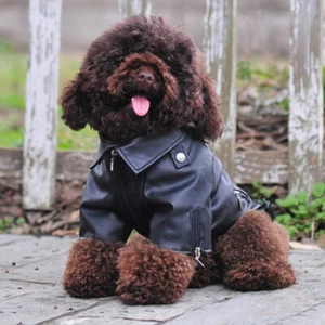 warm coat Pet Dog Clothes Punk Puppy Vest Windproof Leather Jacket Fall - Picture 1 of 21