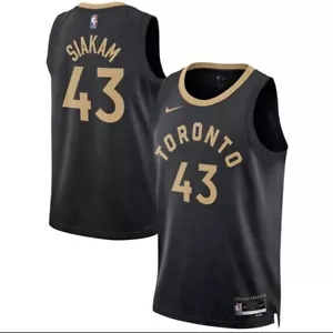 Nike Toronto Raptors Pascal Siakam City Edition Men's Size Large Jersey - Picture 1 of 7