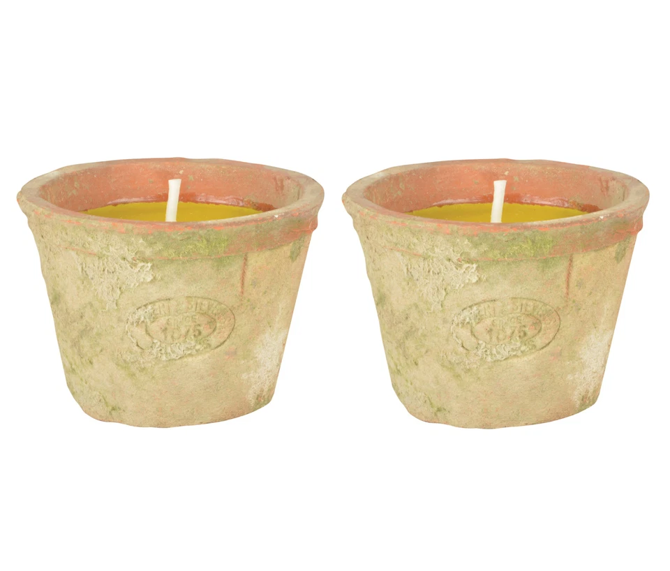Fancy Flames 2 Pack Citronella Fragrance Outdoor Candles in Terracotta Pots - Image 1 of 1