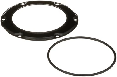 Anillo de bloqueo del tanque de combustible Delphi para Nissan Xterra 2000-2004 Foto 1 de 4