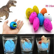 dino eggs agua