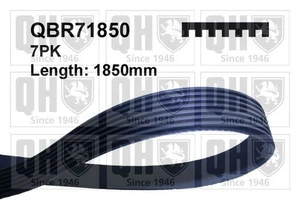 V-Ribbed Belt 1850mm Length For BMW 3 Series Honda Civic QUINTON HAZELL QBR71850 - Picture 1 of 3