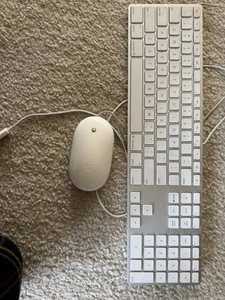 Apple White Aluminum USB Wired Keyboard Mighty Mouse A1152 A1243 Used SYLSA - Bild 1 von 12