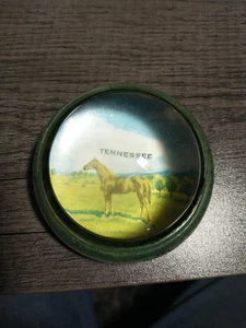 Vintage Tennessee Walker Domed Glass Paperweight - Picture 1 of 5