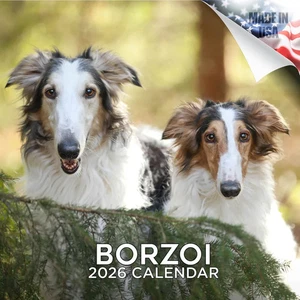 BORZOI Wall Calendar 2026 Animal DOG PET Lover Gift - Picture 1 of 2