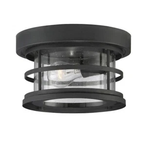 Savoy House Barrett 1-Light Outdoor Ceiling Light, Black - 5-369-10-BK - Picture 1 of 1