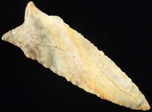 Außergewöhnlich feine 3 3/8 Zoll Missouri Dalton Spitze mit T&T COA Pfeilspitzen - Bild 1 von 4