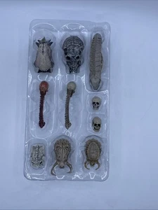 NECA PREDATOR TROPHY SKULLS Collection 2013 Limited Edition Pack NEW SEALED - Picture 1 of 6