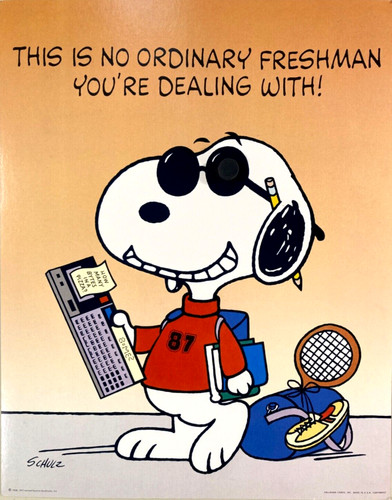 VINTAGE HALLMARK SNOOPY / PEANUTS 11X14 POSTER | eBay