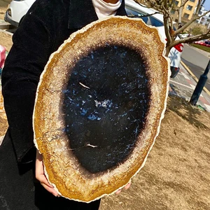 7.62LB Polished Wood Fossil Slice - Stunning Geological Specimen Gift - Picture 1 of 13