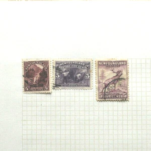 Newfoundland Canada Stamps - Picture 1 of 1