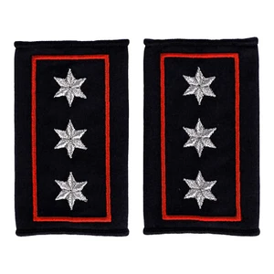 Cordones de hombro bomberos Sarre Haupt Brandmeister - Imagen 1 de 1