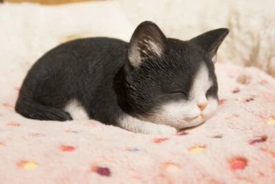 Gato Gatito Durmiendo 3 Colores Jardín Estatua Jardín Decoración Hogar Foto 1 de 4