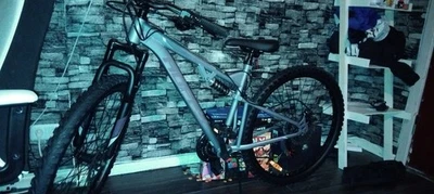 Ich Verkaufe Mein Mtb Nagel Neu Vorderrad Defekt - Bild 1 von 4