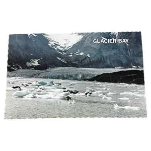Tarjeta Postal Glacier Bay Monumento Nacional Alaska 4x6 Continental Cromo Tarjeta C74 - Imagen 1 de 2