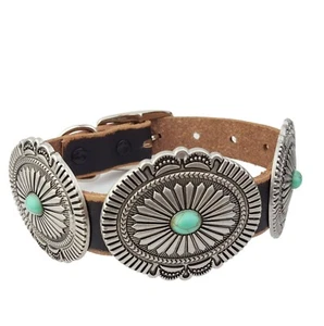 Genuine Distressed Leather Dog Collar with Western Style Conchos - Picture 1 of 4