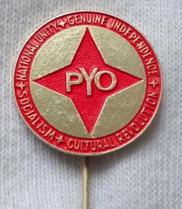 Antiguo PYO primera organización COMUNISTA en AFGANISTÁN Pin Insignia Juventud Progresista - Imagen 1 de 2