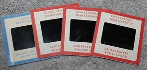 VTGE 1950'S KODAK BORDER SLIDES YOUNG MEN SUNBATHING SHIRTLESS GAY INTEREST - Picture 1 of 3
