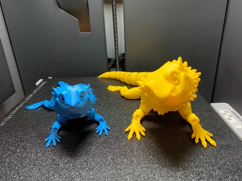 Bearded Dragon, articulating 3D printed fidget toy for desk, custom colors! Cover