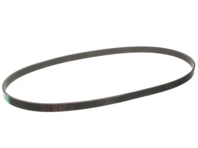 Cinturón primario multi costilla para Audi S4 2004-2009 79619TT 2008 2007 2005 2006 Foto 1 de 2