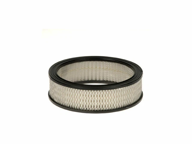 Filtro de aire Pronto para Buick Skylark 1982-1991 27 piezas Foto 1 de 1