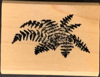 Art Impressions Small Fern Plant Rubber Stamp A-1284 - Image 1 of 3