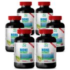 Noni Capsule - NONI EXTRACT (8:1 concentrate) 500mg - Anti-Inflammatory Pills 6B