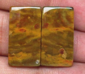 Natural Blood Stone Cabochon Baguette Shape Pair 27.95 ct Loose Gemstone J 4049 - Picture 1 of 5