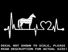 Horse in Heartbeat Pulse With Heart Car Van Truck Decal USA Made