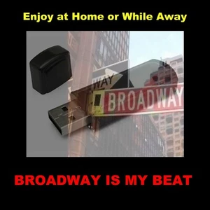 BROADWAY IS MY BEAT. 169 OLD-TIME RADIO DETECTIVE SHOWS ON A USB FLASH DRIVE! - Picture 1 of 4