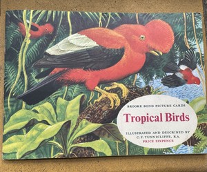 Brooke Bond teacards and album complete tropical Birds Nov 1961