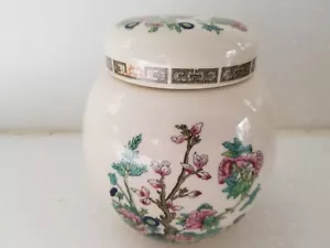 Vintage Sadler England Indian Tree Floral Ginger Tea Jar with Lid 5" Tall - Picture 1 of 7