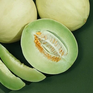 1/4 Lb Green Flesh Honeydew Melon Seeds - Everwilde Farms Mylar Seed Packet - Picture 1 of 2